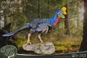 Wonders of the Wild statuette Oviraptor 32 cm| STAR ACE