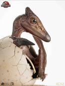 Jurassic Park ECC Elite Creature Line statuette 1/2 Pterosaur Hatching 16 cm | ELITE CREATURE