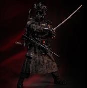 Special Warfare Ming Dynasty Extreme Zone figurine 1/6 Jinyiwei 28 cm | DAMTOYS