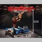 Bloodsport the last fyght jcvd | infinite