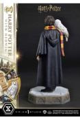 Harry Potter statuette Prime Collectibles 1/6 Harry Potter with Hedwig 28 cm | Prime 1 Studio