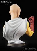 SAITAMA 1/1 MUB One Punch Man | Tsume Art