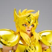 Hyoga inheritor of the gold cloth Saint cloth myth ex aquarius Bandai | Tamashii Nations 