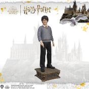 Harry Potter Life-Size statue 1/1 Harry Potter 174 cm | MUCKLE MANNEQUINS