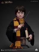 Harry Potter buste 1/1 Harry 76 cm | Queen Studios