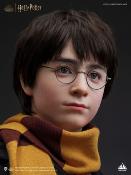 Harry Potter buste 1/1 Harry 76 cm | Queen Studios