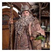 Le Seigneur des Anneaux statuette 1/6 Radagast in Rhosgobel Limited Edition 43 cm| Weta Collectibles