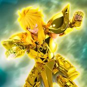 Hyoga inheritor of the gold cloth Saint cloth myth ex aquarius Bandai | Tamashii Nations 