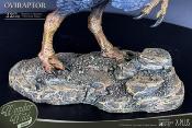 Wonders of the Wild statuette Oviraptor 32 cm| STAR ACE