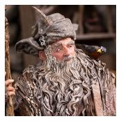 Le Seigneur des Anneaux statuette 1/6 Radagast in Rhosgobel Limited Edition 43 cm| Weta Collectibles