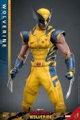 Deadpool & Wolverine Movie Masterpiece figurine 1/6 Wolverine (Deluxe Version) 31 cm | HOT TOYS