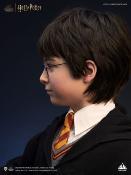 Harry Potter buste 1/1 Harry 76 cm | Queen Studios