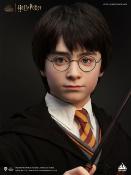 Harry Potter buste 1/1 Harry 76 cm | Queen Studios