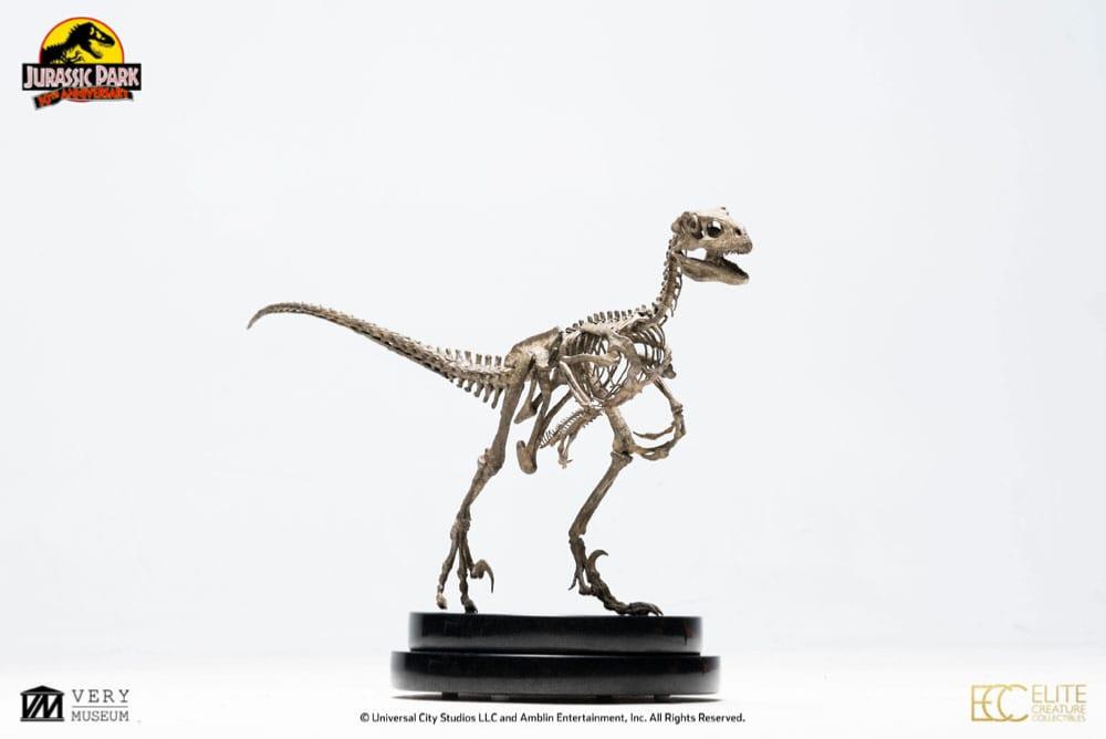 Jurassic Park Statuette 18 Velociraptor Skeleton Bronze 24 Cm Ecc 