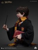 Harry Potter buste 1/1 Harry 76 cm | Queen Studios